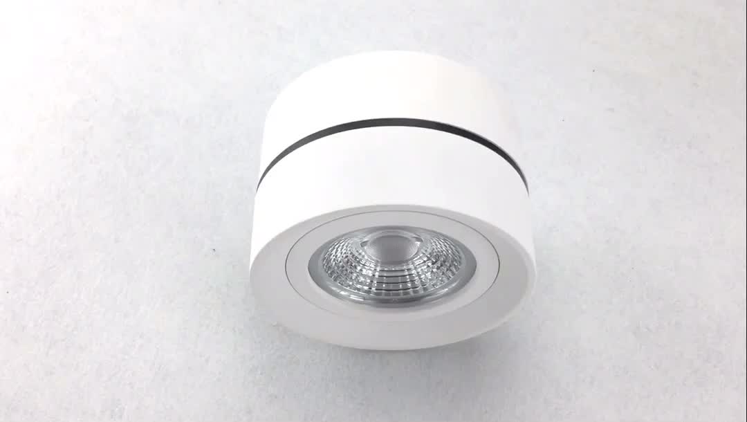 Surface Mounted Downlight | Green Clean Energy